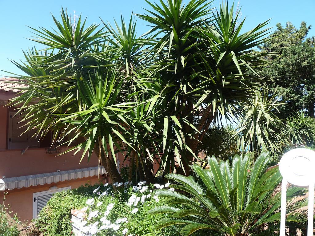 B&B Villa Di Giorgi Cefalù Exterior foto